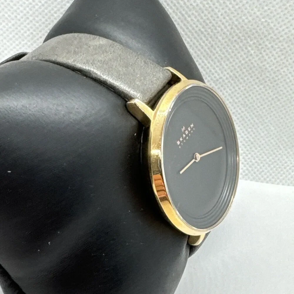 Skagen Ditte SKW2216 Women's Gray Leather Analog Dial Quartz Wrist Watch JNA563